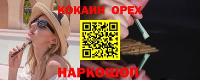 дмт Кингисепп