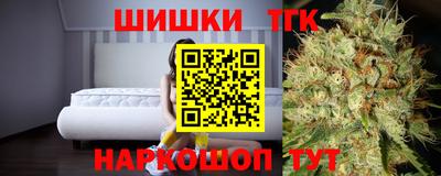 дмт Кингисепп