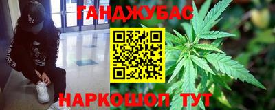 дмт Кингисепп
