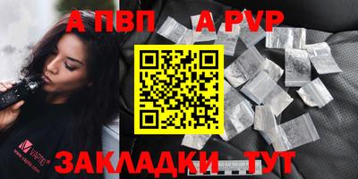 дмт Кингисепп