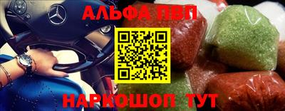 дмт Кингисепп