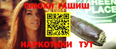 дмт Кингисепп