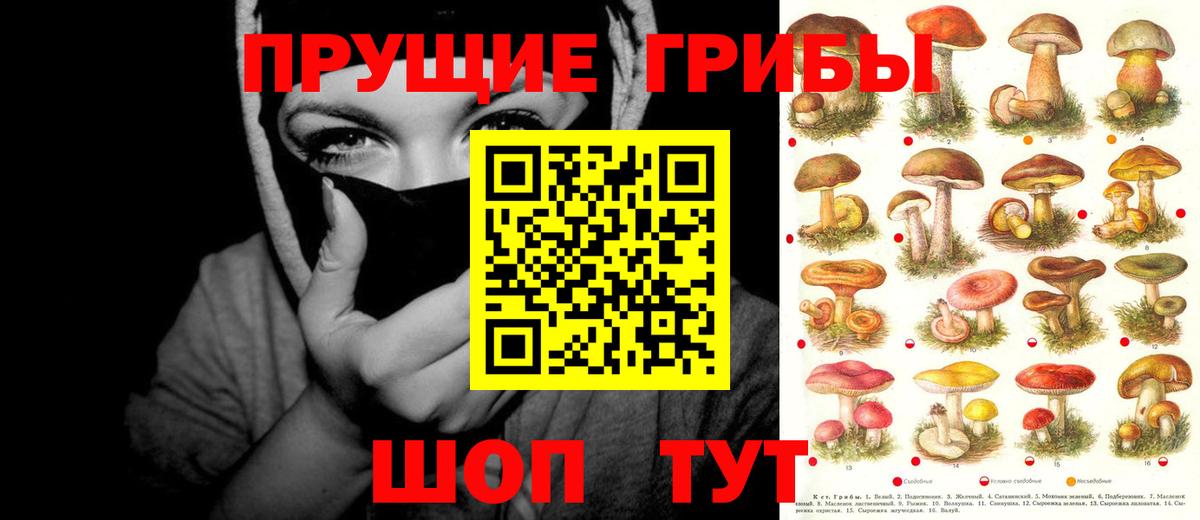 Псилоцибиновые грибы MAGIC MUSHROOMS  Вход с VPN  Ишимбай  Псилоцибиновые грибы Cubensis 